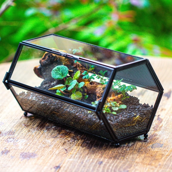 NCYP Small Stainless Steel Hexagon Shaped Enclosure Terrarium with Mesh, 4.7x7.8x4.1 inches Tabletop Jumping Spider, Small Insect Habitat, Horizontal Placed (Terrarium Only)