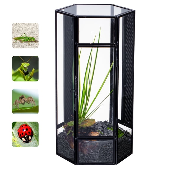 NCYP Small Stainless Steel Hexagon Shaped Enclosure Terrarium with Mesh, 4.9x4.3x9.4 inches Tabletop Jumping Spider, Small Insect Habitat, Vertical Placed (Terrarium Only)