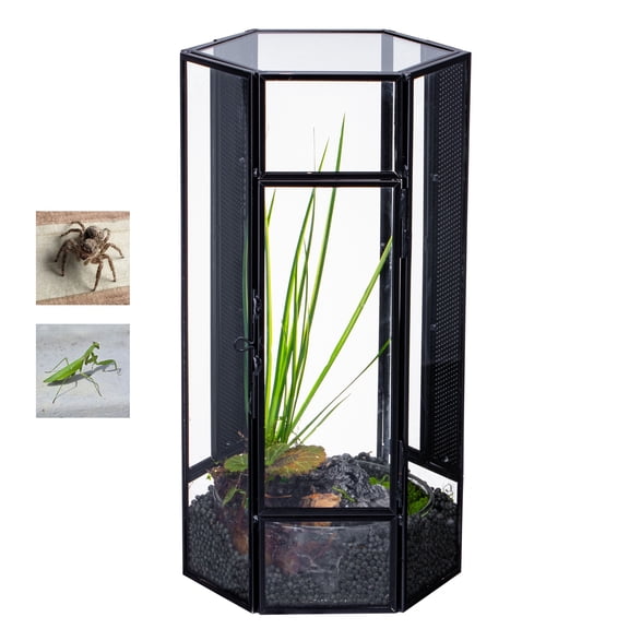 NCYP Small Stainless Steel Hexagon Shaped Enclosure Terrarium with Mesh, 4.9x4.3x9.4 inches Tabletop Jumping Spider, Small Insect Habitat, Vertical Placed (Terrarium Only)