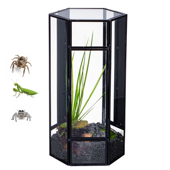 NCYP Small Hexagon Jumping Spider Enclosure, 4.9" x 4.3" x 9.4" Stainless Steel and Glass Insect Terrarium with Mesh Ventilation, Vertical Habitat for Small Insects (Terrarium Only)