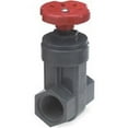 thumbnail image 1 of NDS GVG-0750-T Gate Valve 3/4 in FIP PVC, 1 of 2