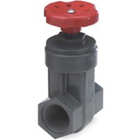 NDS GVG-0750-T Gate Valve 3/4 in FIP PVC