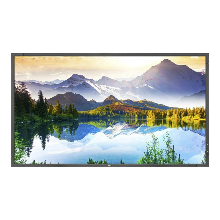 NEC Display 90
