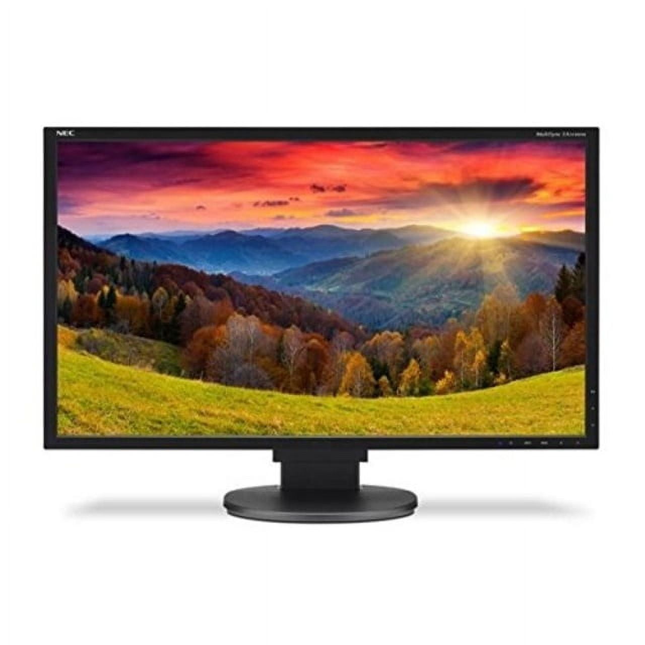 NEC EA224WMIBK 21.5Inch Screen LEDLit Monitor