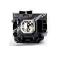 thumbnail image 1 of NEC M350XS+ Projector Lamp with Module, 1 of 3