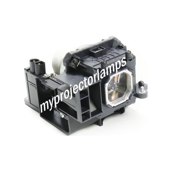 NEC ME361W Projector Lamp with Module