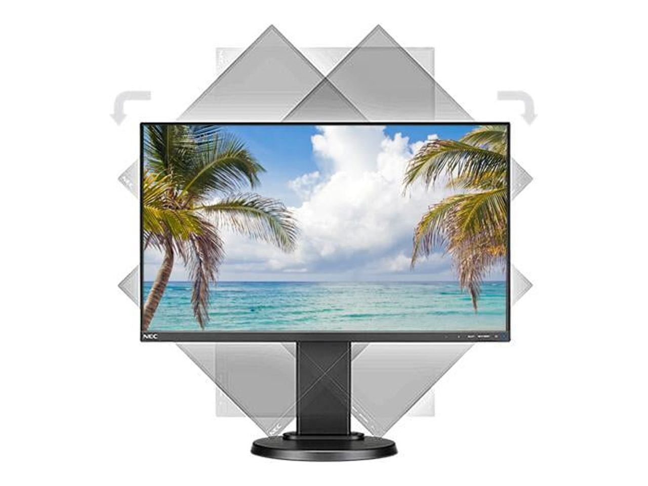 東　3台x NEC E241N-C Sharp Imaging and Information Company of America