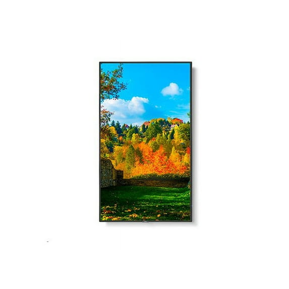 NEC MultiSync M551-PC5 - 55" Diagonal Class M Series LED-backlit LCD display - digital signage - with built-in PC - 4K UHD (2160p) 3840 x 2160 - HDR - edge-lit