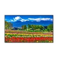 thumbnail image 1 of NEC MultiSync M751-AVT3 - 75" Diagonal Class M-Series LED-backlit LCD display - with TV tuner - digital signage - 4K UHD (2160p) 3840 x 2160 - HDR - direct-lit LED, 1 of 8