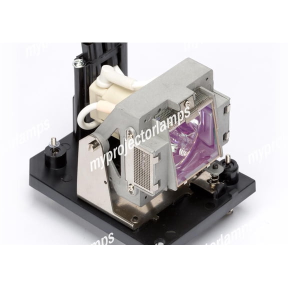 NEC NP04LP Projector Lamp with Module