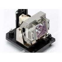 NEC NP12LP Projector Lamp with Module