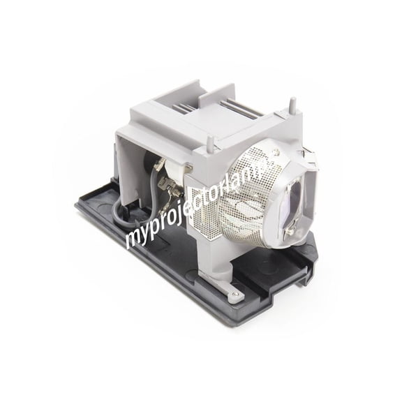 NEC NP24LP Projector Lamp with Module