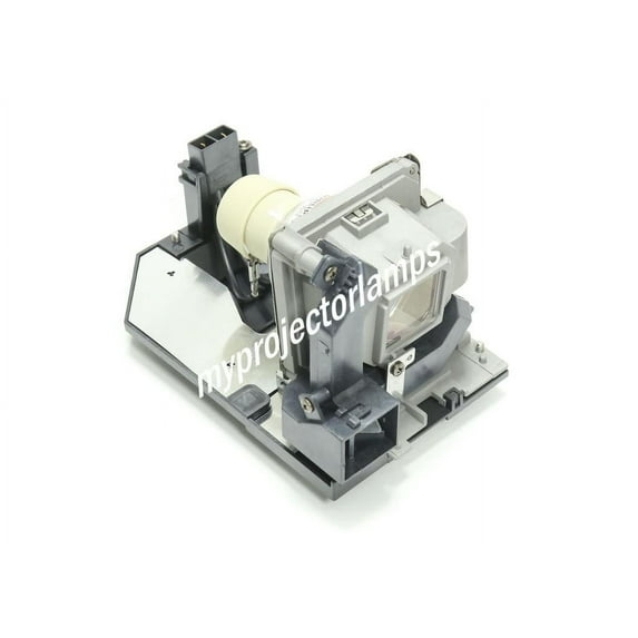 NEC NP28LP Projector Lamp with Module