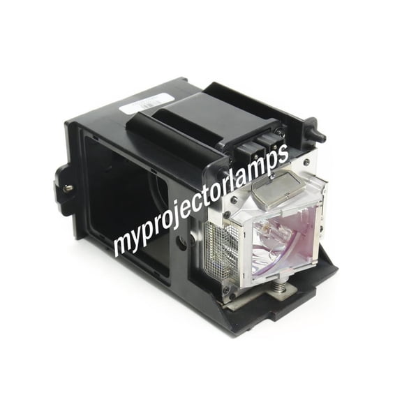 NEC NP9LP01 Projector Lamp with Module