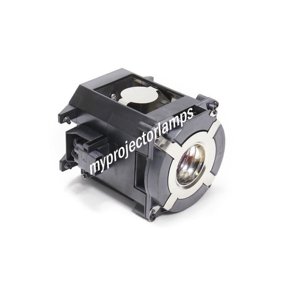 NEC PA572W+ Projector Lamp with Module
