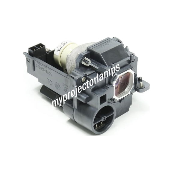 NEC UM352W Projector Lamp with Module