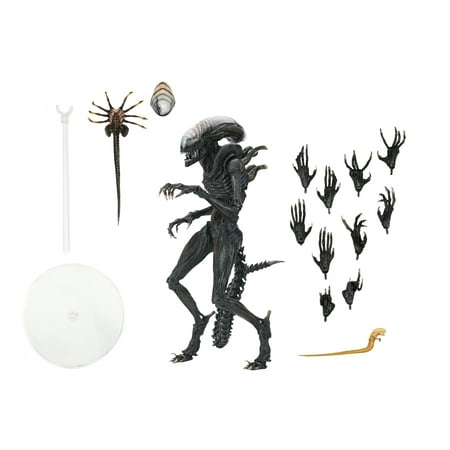 NECA - Alien : Romulus 7" Scale Action Figure-Ultimate Scorched Xenomorph