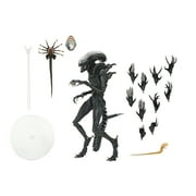 NECA Alien Romulus Scorched Xenomorph Ultimate Action Figure with Facehugger and Chestbursters 7"