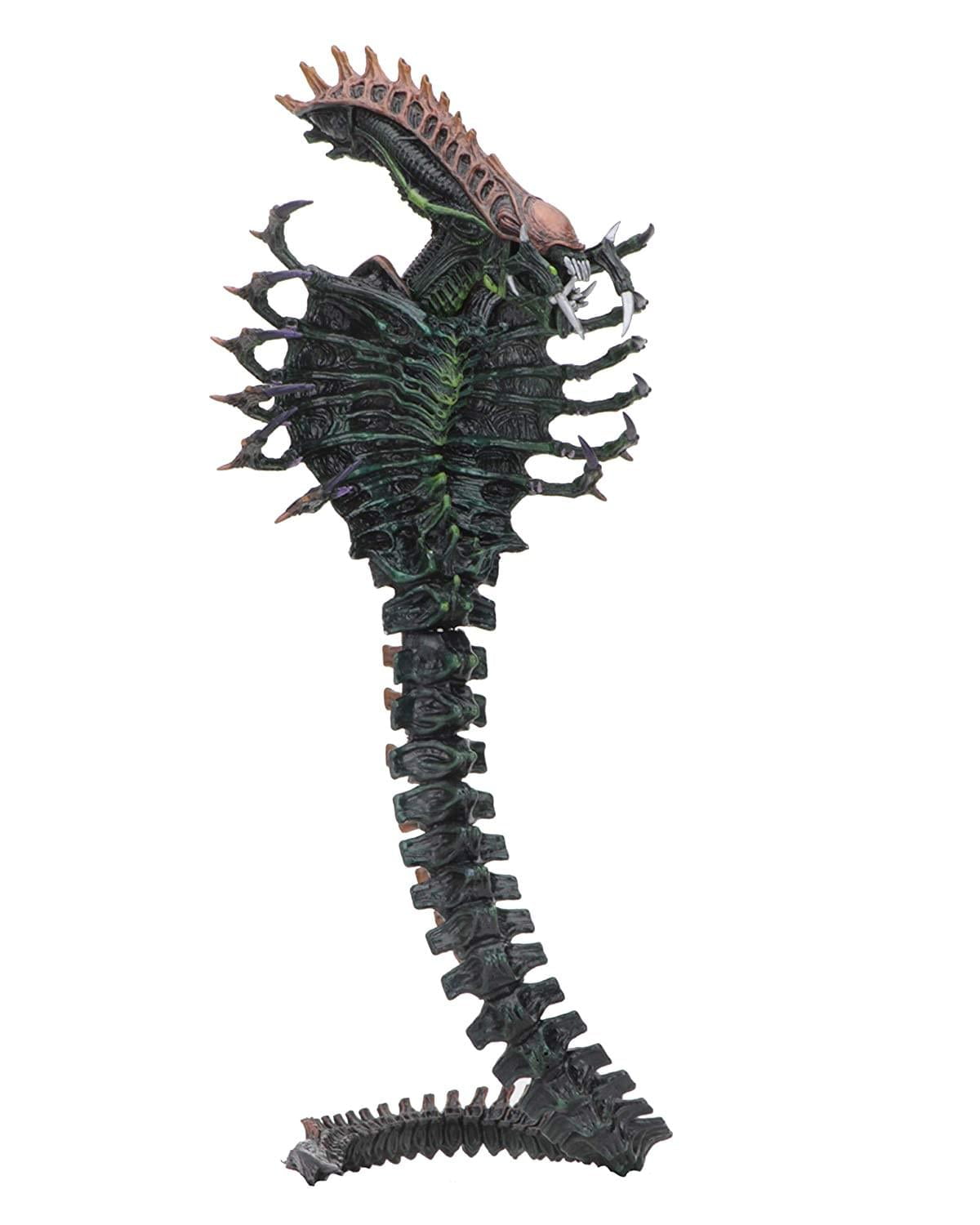 NECA - Aliens - 7" Scale Action Figure - Series 13 Snake - Walmart.com