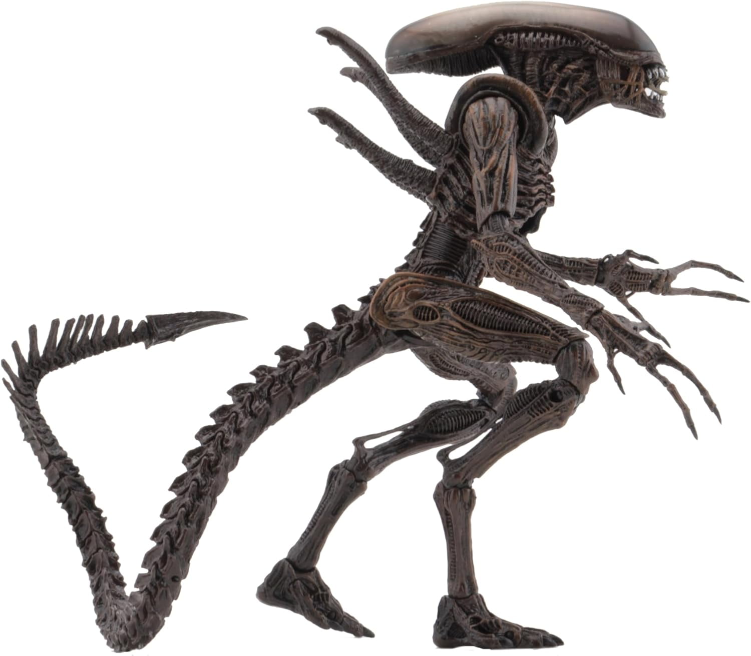 NECA エイリアン4 ウォーリアー リザレクション NECA Aliens - 7