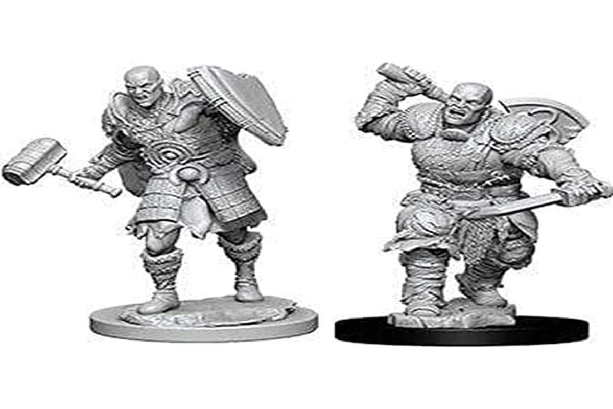 Donjons & Dragons Icons Premium Miniatures~ Elfe Femelle Druide