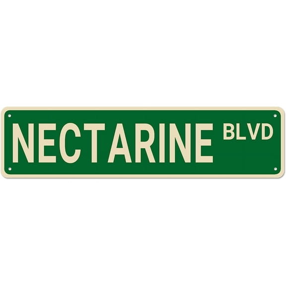 NECTARINE BLVD Funny Metal Tin Signs for Bedroom Kitchen Garden Wall Bab Club Coffee Hanging Sign Home Decor 416Inch