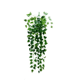 Greenery Leaf Plant Wall Decorative Vines For Aesthetic Room Plant Wall  Decor, Home, Bedroom, Party, Garden, Wall Hanging From Sophine11, $11.34