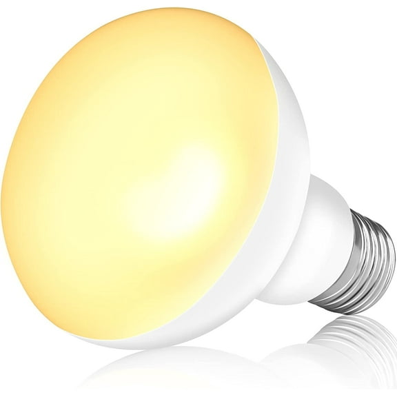 NEPTONION 2 Pack 100W Reptile Heat Lamp Bulb, UV Daylight Spot Bulb, Basking Bulb for Lizard, Tortoise, Bearded Dragon (E26,110V)