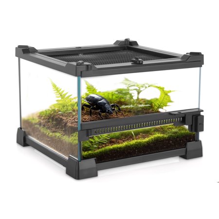 NEPTONION Mini Reptile Glass Terrarium 8"x8"x6" Durable Reptile Habitat Tank with Heat Resistant Aluminum Alloy Frame, Single Swinging Doors for no Jam by Sand and Other Debris