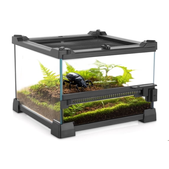 NEPTONION Mini Reptile Glass Terrarium 8"x8"x6" Durable Reptile Habitat Tank with Heat Resistant Aluminum Alloy Frame, Single Swinging Doors for no Jam by Sand and Other Debris