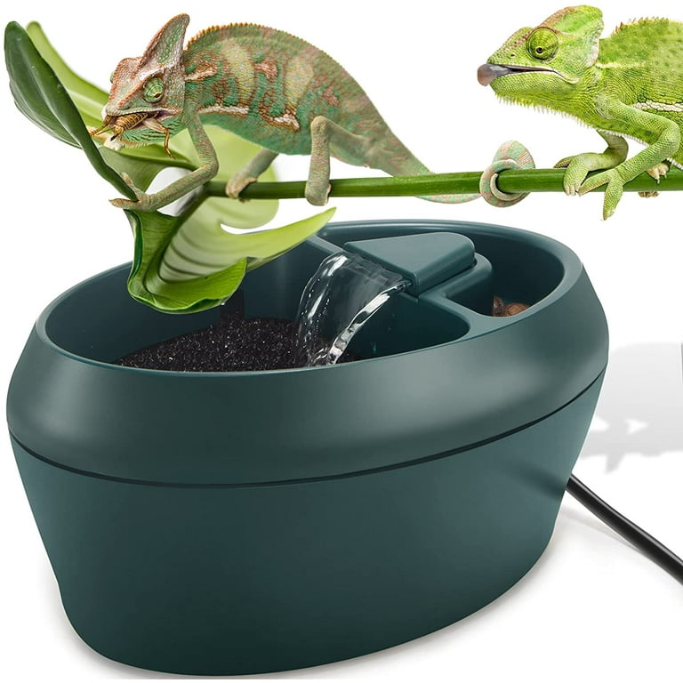 Chameleon dripper system 2025