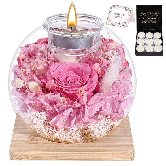 NERCHVO Valentines Day Birthday Gifts for Women Preserved Roses in Glass Dome with Scented - Romantic Preserved Flower for Women, Girlfriend, Wife, Mom, Grandma, Sister, Her-Pink Y101