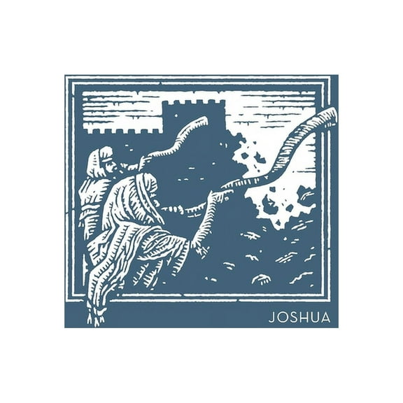 La NET Abide Bible Journal - Joshua, Paperback, Comfort Print Softcover, (Paperback)