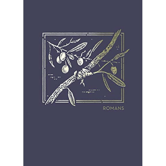 Pre-Owned Net Abide Bible Journal - Romans, Paperback, Comfort Print: Holy Bible (Paperback) 0785237380 9780785237389