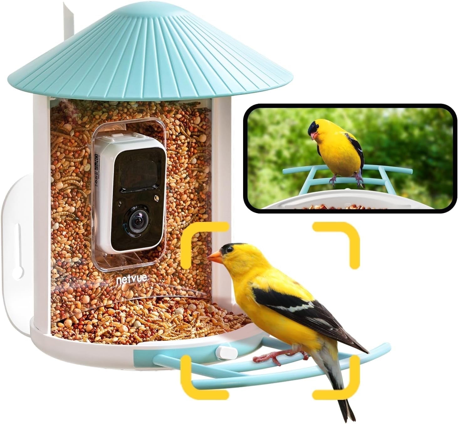 NETVUE BirdfySmart Bird Feeder with Camera | Lifetime AI Accurately Identify 6000+ Bird Species | 1080p FHD Outdoor Bird Watching Camera | Gift for Parents and Bird Lover | Blue