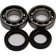 thumbnail image 1 of NEW ALL BALLS - 24-1074 - Crank Bearing and Seal Kit YAMAHA PW 80 BIG WHEEL, 1 of 1