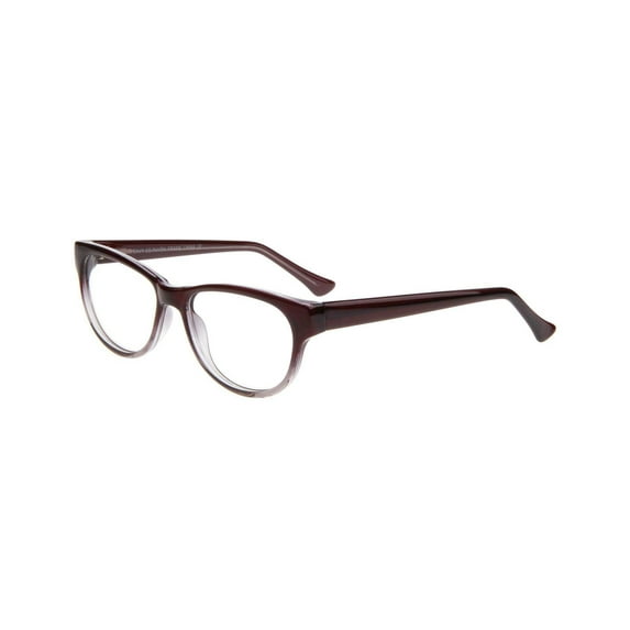 NEW ENVY EYEWEAR Black Gradient RAVEN Eyeglasses 53mm with Case