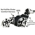 thumbnail image 1 of NEW GSM GPS Mini Collar Waterproof Realtime Tracker - Your Dog Safety Size:S, 1 of 5