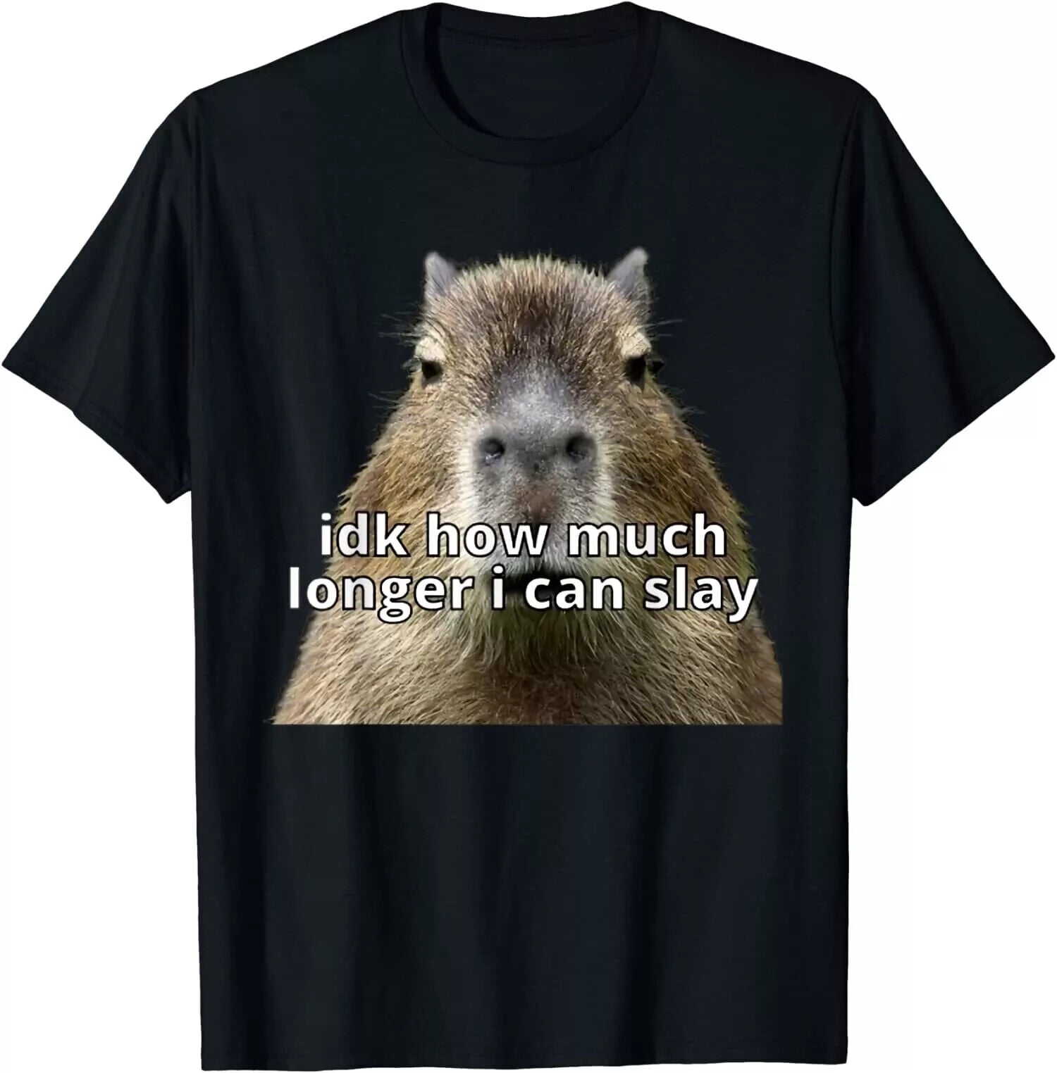 NEW Idk How Much Longer I Can Slay Capybara Dank Meme TShirt