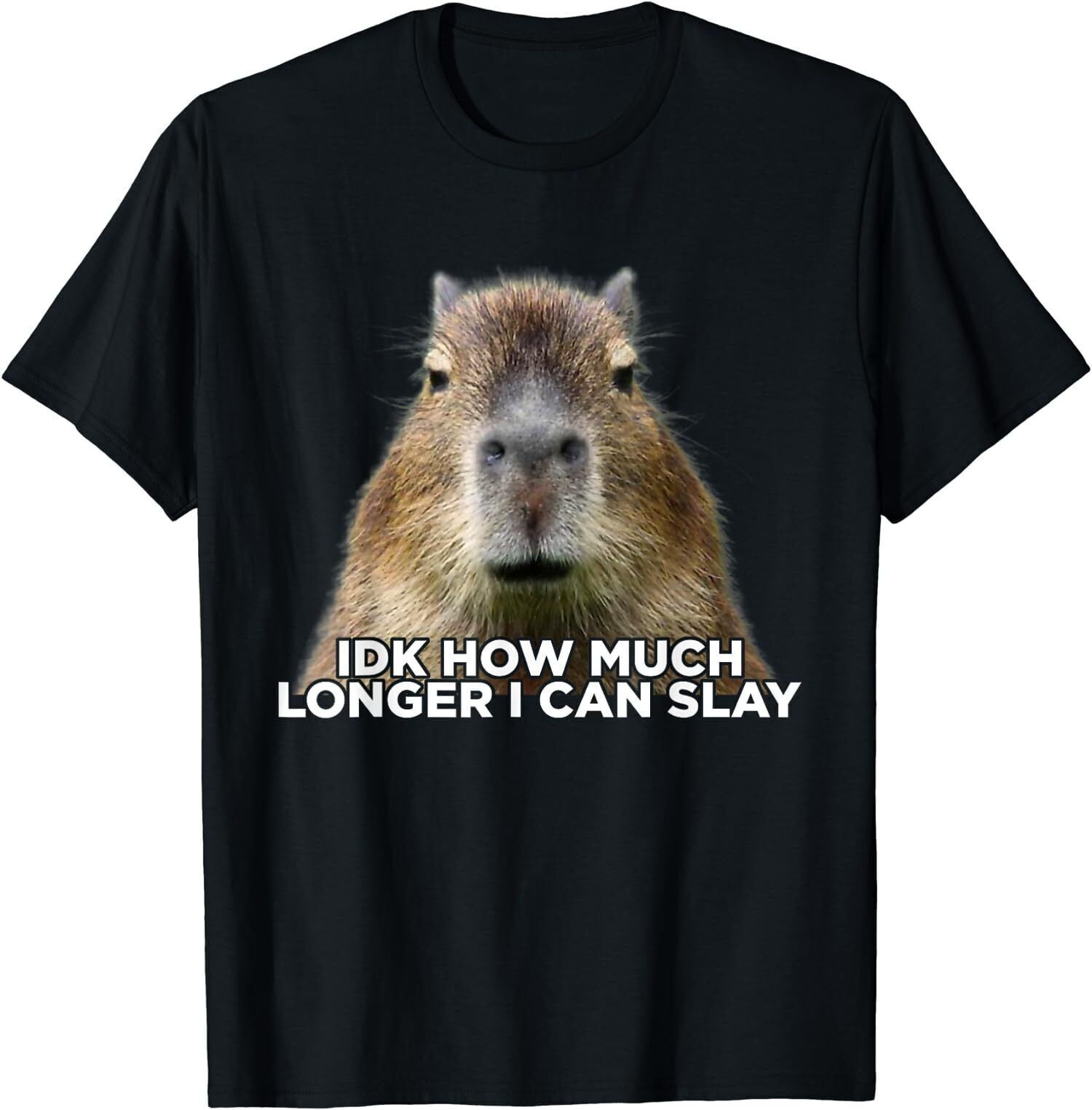 NEW LIMITED Capybara Dank Meme Idk How Much Longer I Can Slay TShirt