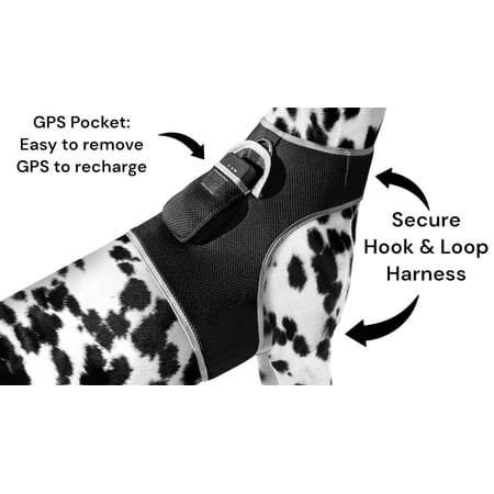 NEW Long Range Wireless GSM GPS Tracker for Pets Realtime Security Size:XS