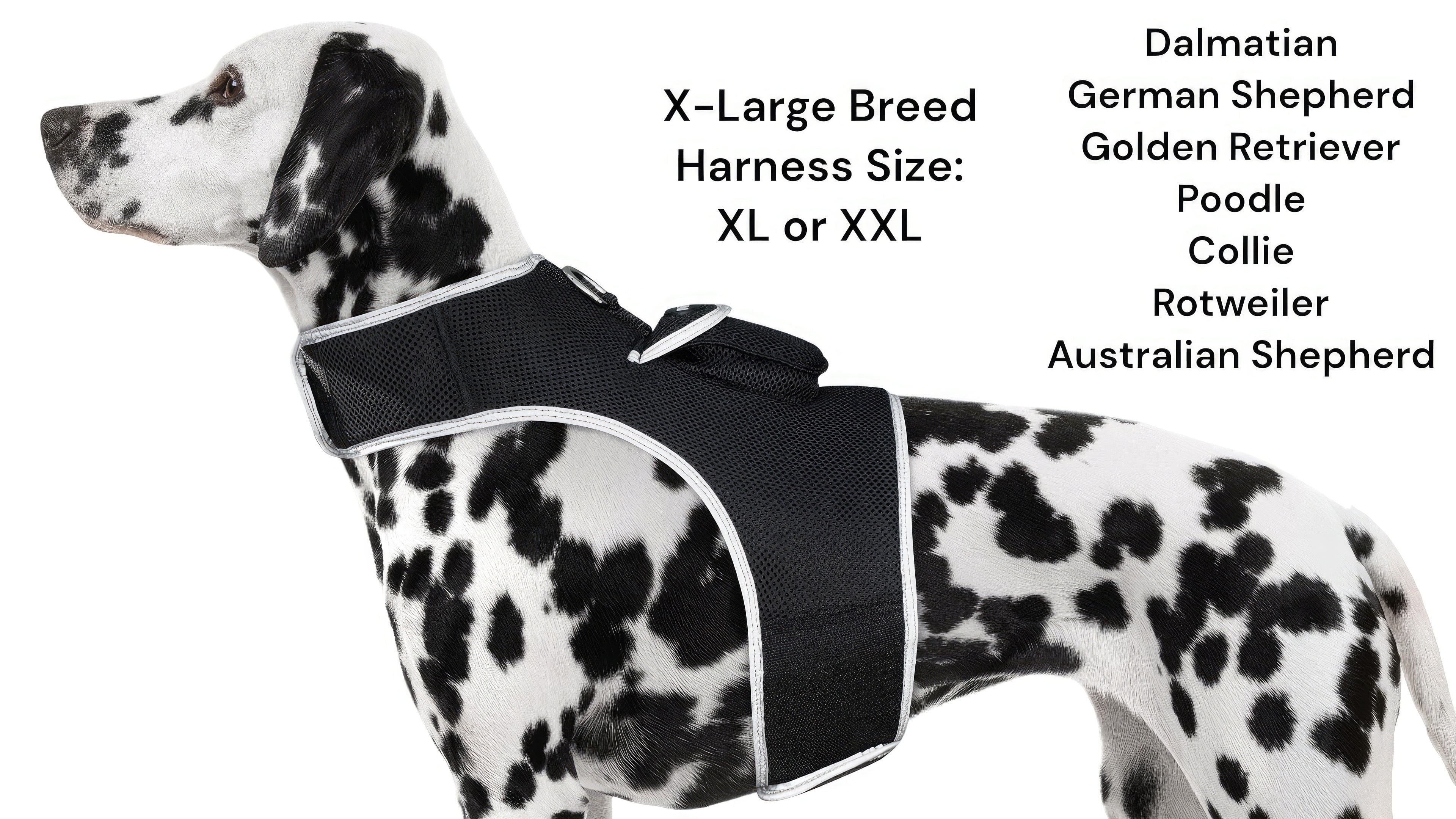 NEW Mini GSM GPRS Pet Collar Tracker for Easy Locate of Missing Pet Size:XL
