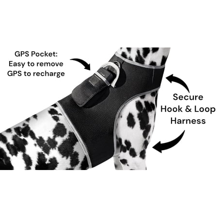NEW Mini Global GPS Realtime Waterproof GSM GPRS Pet Tracking Device Size:L