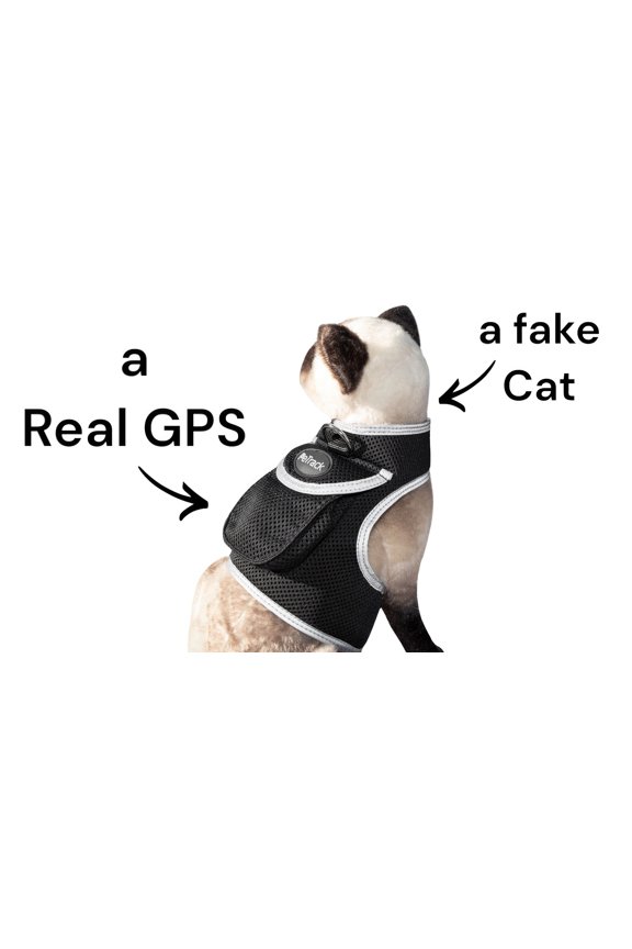 NEW Mini Global GPS Realtime Waterproof GSM GPRS Pet Tracking Device Size:M