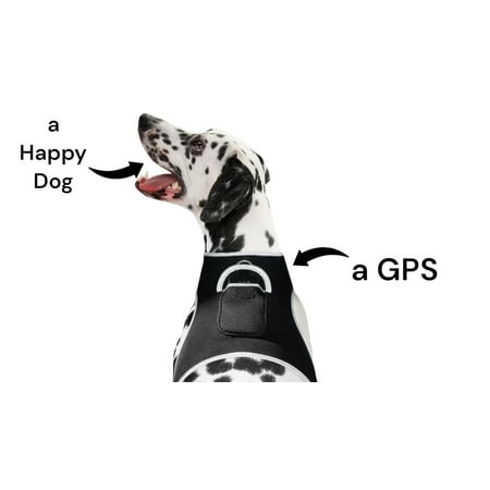 NEW Mini Global GPS Realtime Waterproof GSM GPRS Pet Tracking Device Size:S