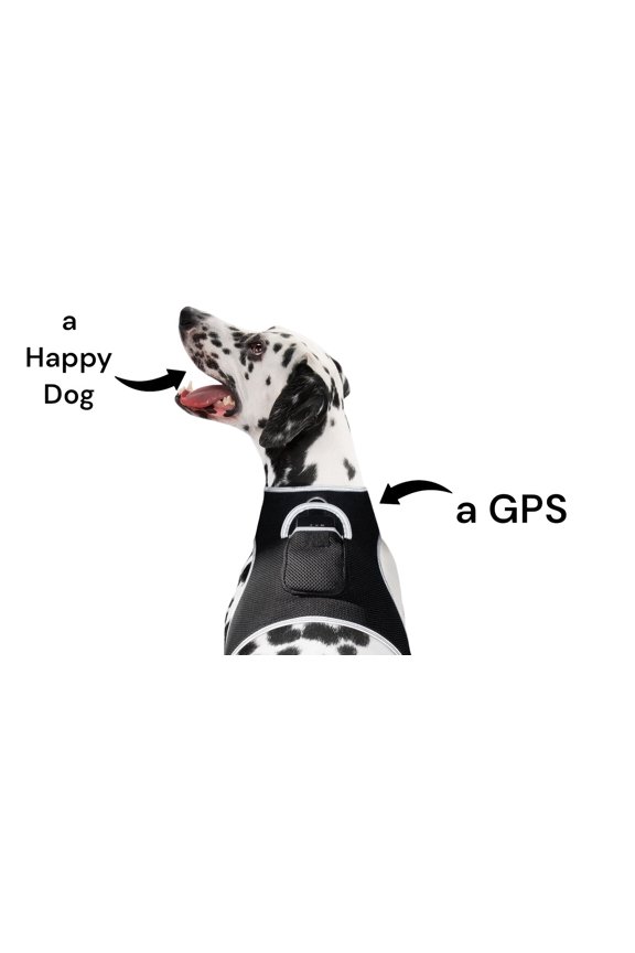 NEW Mini Global GPS Realtime Waterproof GSM GPRS Pet Tracking Device Size:S