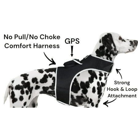 NEW Mini Global GPS Realtime Waterproof GSM GPRS Pet Tracking Device Size:XL