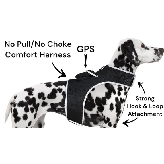 NEW Mini Global GPS Realtime Waterproof GSM GPRS Pet Tracking Device Size:XL