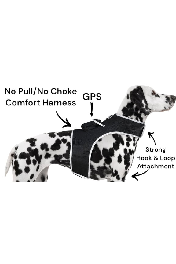 NEW Mini Global GPS Realtime Waterproof GSM GPRS Pet Tracking Device Size:XL