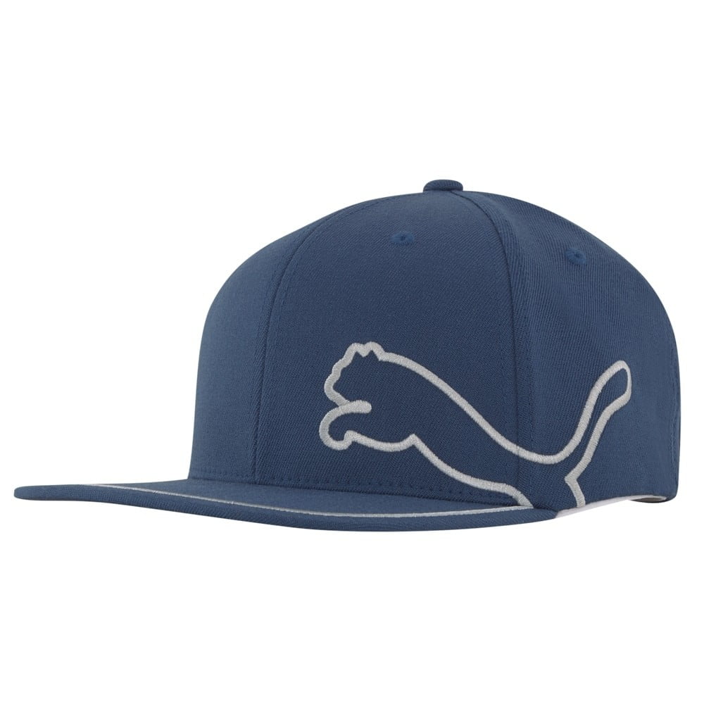 Puma 2024 monoline hat